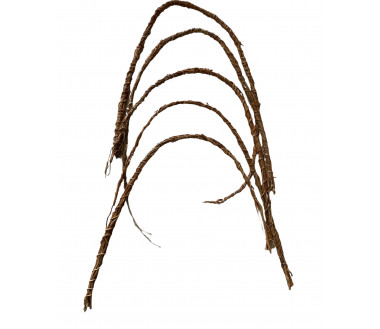 Racines de Vetiver séchées (khamaré, gongoli , sepp)