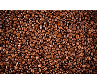 Café Arabica bio en grain