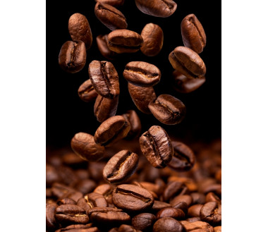 Café Arabica bio en grain 250G